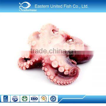 IQF frozen raw octopus whole