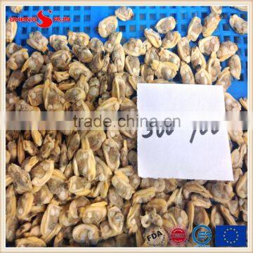 Grade A Standard IQF Baby Clam Meat photo-6