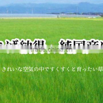 Japanese TATAMI Mats Made in Japan Made of Rush Grass IGUSA for Wholesaler photo-5