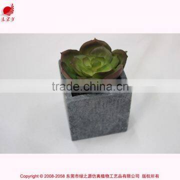 Artificial Min Bonsai Potted Wholesales Artificial Mini Plant.Chinese Factory photo-3