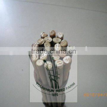 Willow Sticks photo-2