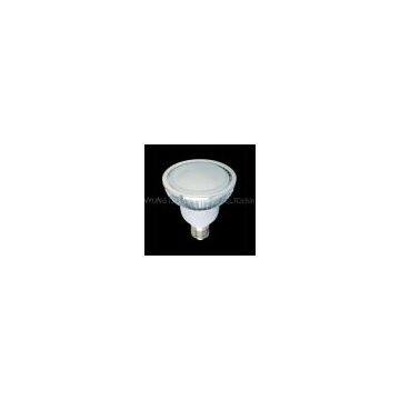 Led PAR Light PAR30-6W2