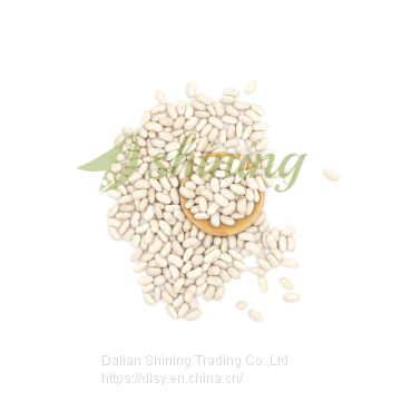 Wholesale Long Type Spanish White Beans Price