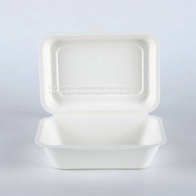 New Hot Disposable Biodegradable 350ML Bagasse Food Box Take away Sugarcane container