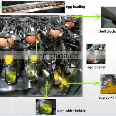Fully Automatic Powder Egg Production Line photo-3