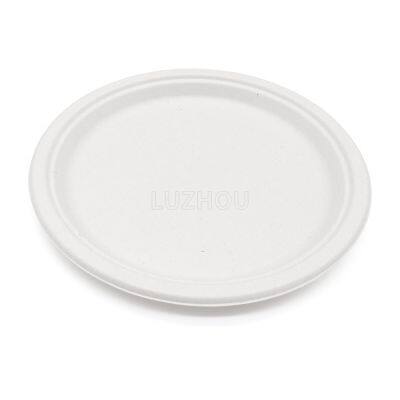 These Disposable Paper Plates Are 9 Inches in Size
