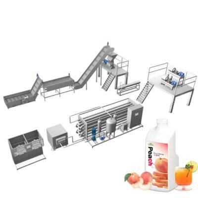 Concentrated Apricot Peach and Plum Puree Processing Line