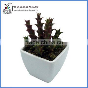 Mini artificial cactus plant with pot for indoor decoration