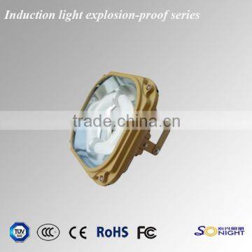 use in hazardous areas explosion proof lighting fixtures, IP66 40W - 60W, Explosion proof light