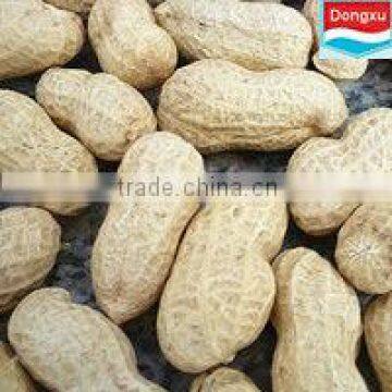 organic peanut in shell 11/13