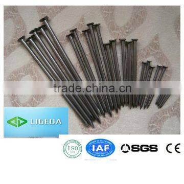 Good Manufacturer of Common Nail/best Price for Nails photo-2
