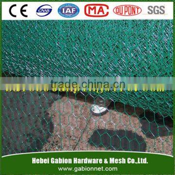 hexagonal wire mesh/hexagonal chicken wire netting