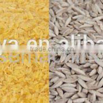 Instant Rice/nutritional Rice Production Line