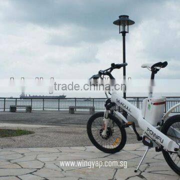 New designed e-bike Seagull 20''--Hot seller in Singapore