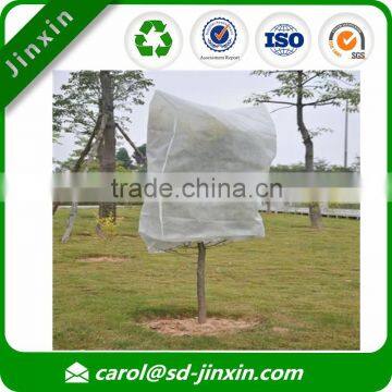 Breathable Fruit Tree Covers of Low Price Fabric Roll Raw Material photo-4