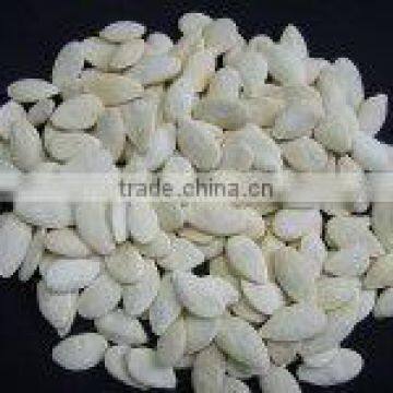 Supplying 11mm Snow White Pumpkin Seeds photo-2