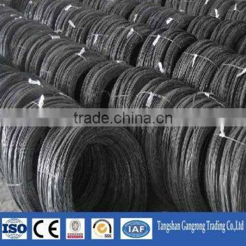 Black Annealed Iron Wire for Rion Wire Mesh photo-5