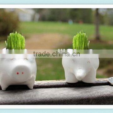 ceramic white mini animal bonsai pot mini animal flower pot