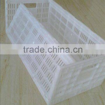 Plastic Fold Egg Storage Container photo-3