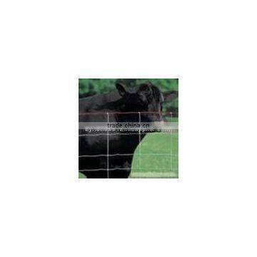 Cattle Sheep Annimal Fence/field Fence (manufacture)