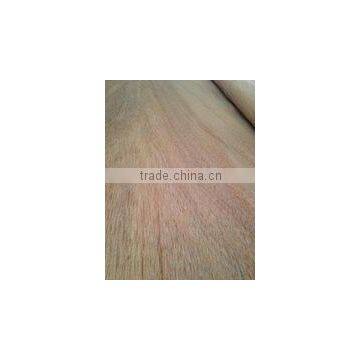 0.3mm Keruing Face Veneer / Gurjan Face Veneer A Grade photo-2