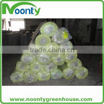 Greenhouse Film photo-2