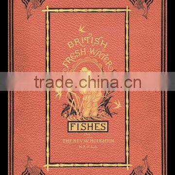 British Fresh-Water Fishes 20x30 poster