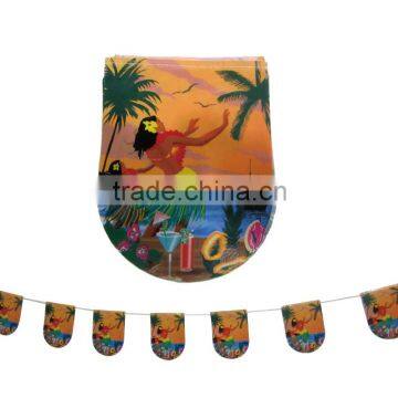 Hawaii bunting string flag line