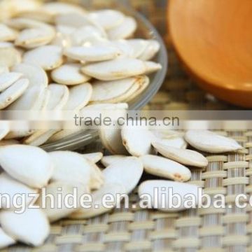 Chinese Snow White Pumpkin Seeds