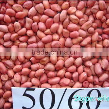 2014 , 2013 crop Chinese red skin peanuts 50/60 40/50