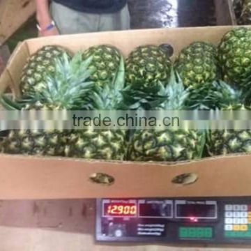 FRESH PINEAPPLES / +84984418844 whatsapp