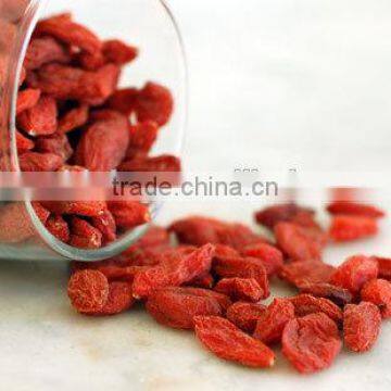 Goji Berry