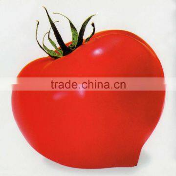 top grade agriculture product red vegetable seeds tomato seeds in greenhouse