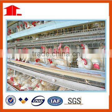 customized layer cage for chicken farming