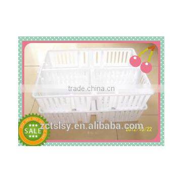 plastic transporting /easy move chicks box /basket for poultry