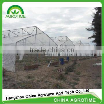 Agricultural greenhouses for tomato strawberry grape