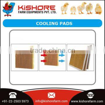 High Quality Exhaust Fan/Cooling Pad/Air Inlet/Poultry House