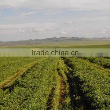 New Design Best Quality Tractor PTO Use Disk Mower, Hay Mower. Grass Mower, Lawn Mower photo-2