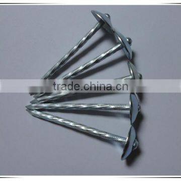 Cheaper Price Galvanized Roofing Nail With Umbrella Head photo-3