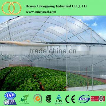 China Fruit vegetable growing tunnel greenhouse for sale