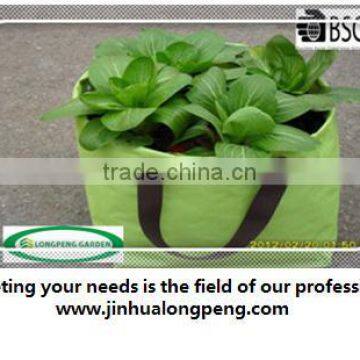 High quality Green PE Vegetable Planter