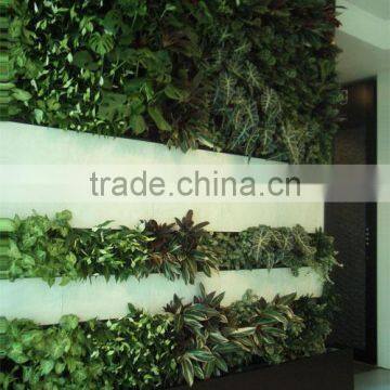 Home and Outdoor Decoration Synthetic Cheap Artificial Vertical Green Grass Wall E08 04Q47 photo-5