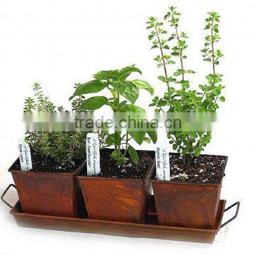 Copper Trio Planter kit, Copper Growing Planters, Copper Herb Planter