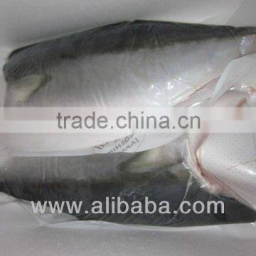 Frozen Yellowtail Fillet (Hamachi) - Sashimi Grade