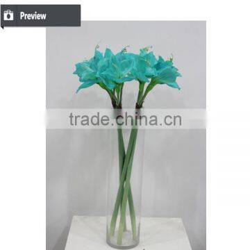 Cheap Wholesale Large Amaryllis for Halloween Arrangement photo-3