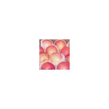 FUJI APPLES