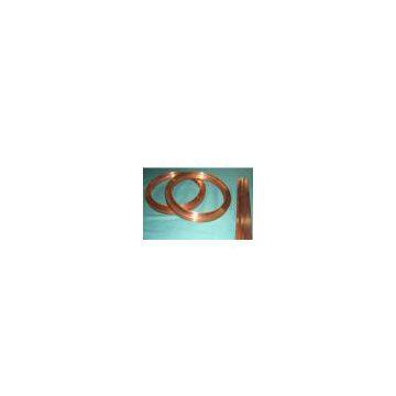 End ring and Conducting bar