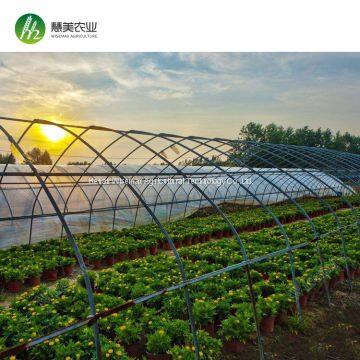 Low cost plastic wiggle wire agriculture solar greenhouse tunnel