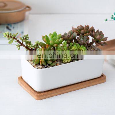 New Design Plant Pot Indoor Drawing Big 1 Piece Succulent 14 Inch Ribbed Large Low Bowl Planter Ceramic