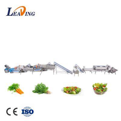 Automatic Bubbles Fruit Processing Vortex Vegetable Washing Machine With Bubble Ozone